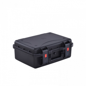 DGcase "50-02"