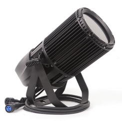 LFocus "PL-69Y"